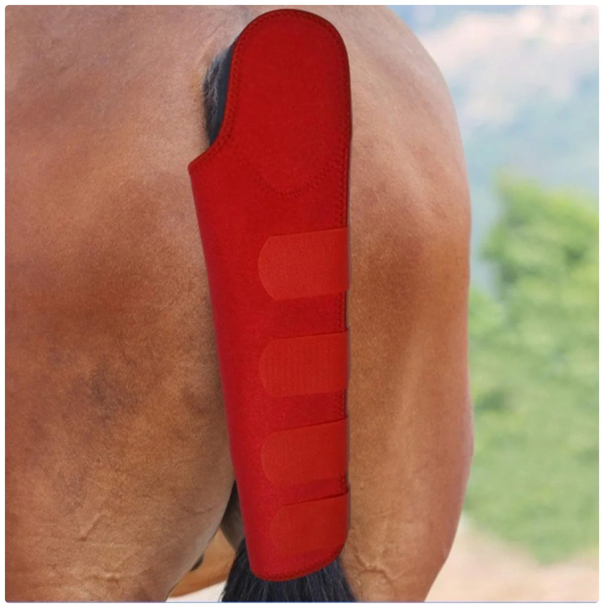 Horse Tail Guard - Protective Cover for Horse Tail with Extra Padding