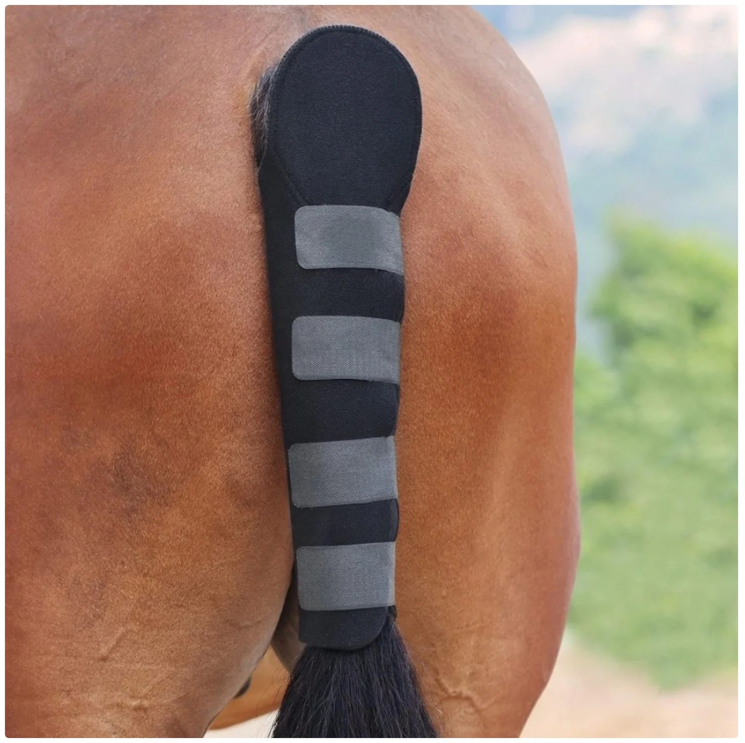 Horse Tail Guard - Protective Cover for Horse Tail with Extra Padding