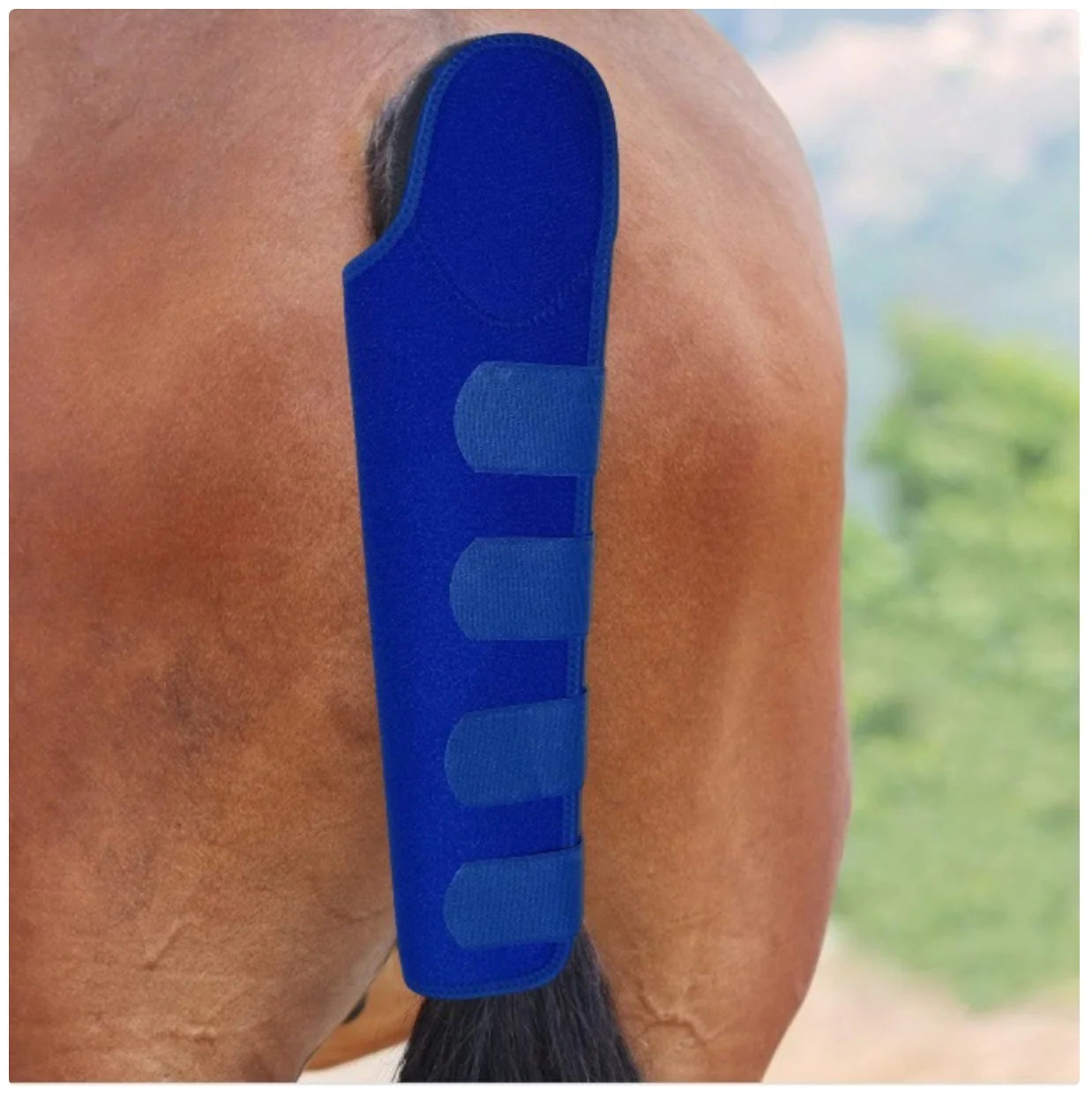 Horse Tail Guard - Protective Cover for Horse Tail with Extra Padding